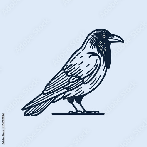 Outline de un cuervo o zanate