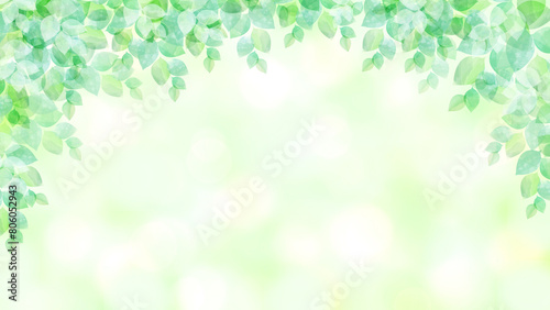 新緑 若葉 木漏れ日 グリーンのフレーム背景素材