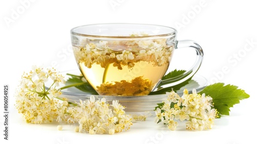 Fresh Elderflower Tea: Isolated Blossoms of Herbal Remedy for Detox and Cough Alternative