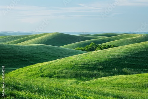 Green rolling hills of Palouse in Washington State
