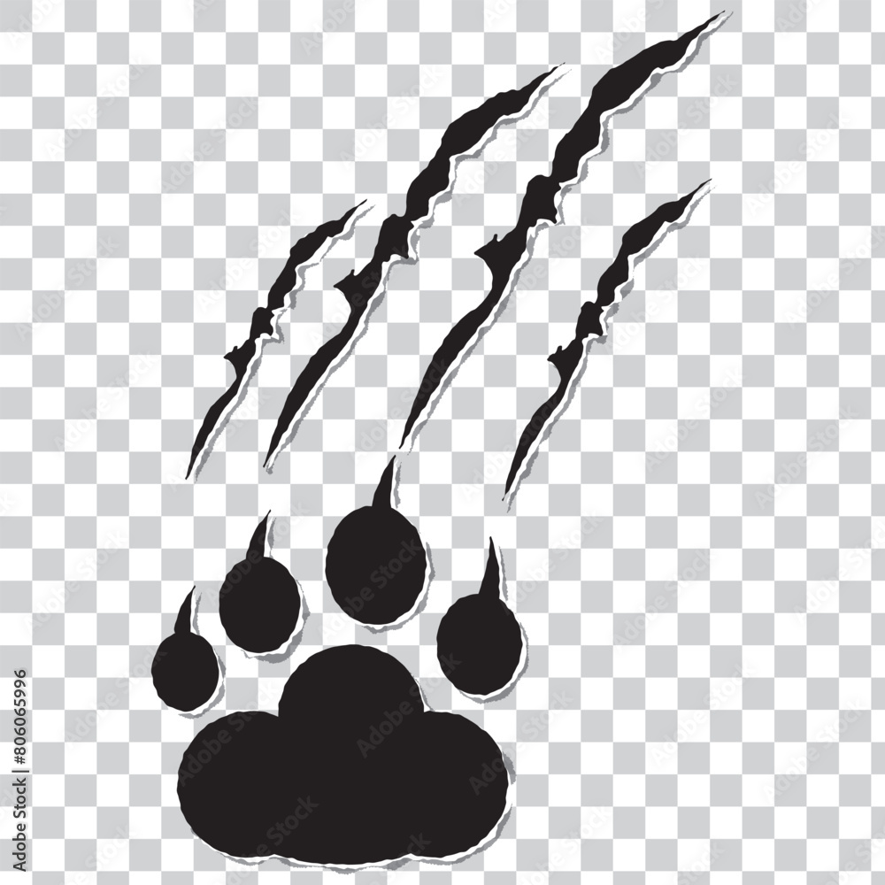 animal claw scratch marks on white background. Cat tiger paw shape scratches signs. animal claw scratches mark set. scar or scratch icons for wilderness, animal attack, wild animal, warning