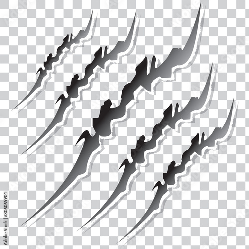 animal claw scratch marks on white background. Cat tiger paw shape scratches signs. animal claw scratches mark set. scar or scratch icons for wilderness, animal attack, wild animal, warning