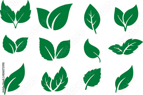 Green leaf icons set on transparent background. ECO and environment friendly, world earth day, green energy related poster or banner designing. PNG format. photo