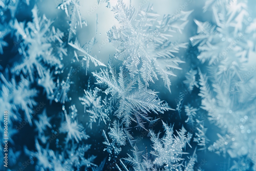Beautiful Ice Crystal Patterns on a Frosty Window

