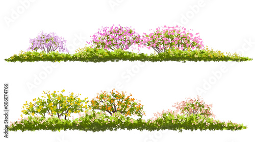 Vertor set of spring blossom tree,bloomimg plants side view for landscape elevation and section,eco environment concept design,watercolor illustration,colorful season
