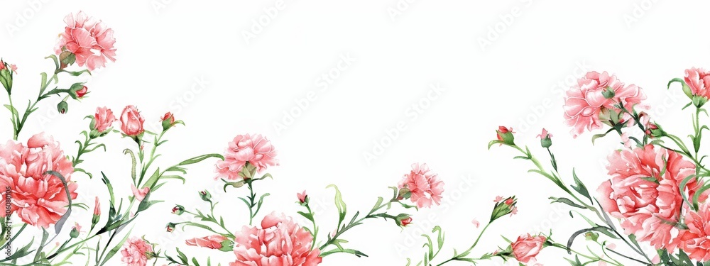Cutsche pink carnations frame on white background, watercolor style, pastel colors, spring flowers, pink petals and green leaves, pink peonies in the corners of the picture.