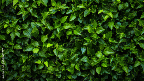 a green hedge with small plants on it, in the style of decorative backgrounds