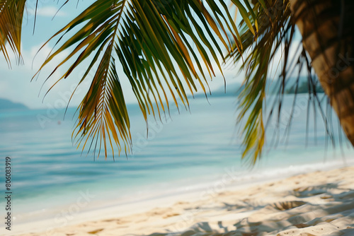 Blurred panoramic view of a tropical beach Sea background with empty space for some messages. Blur sea with some component like palm  cloud  sand  sky  beach  holiday  hammock background.