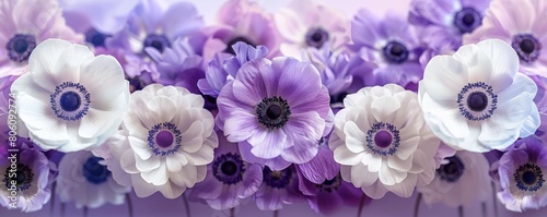 abstract background of purple and white anemone flowers on mirror