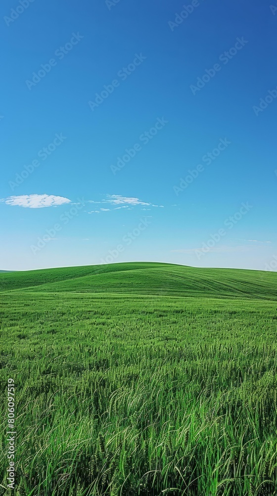 Green rolling hills under blue sky