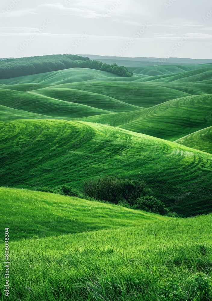Picturesque green hills of Tuscany, Italy Picturesque green hills of Tuscany, Italy