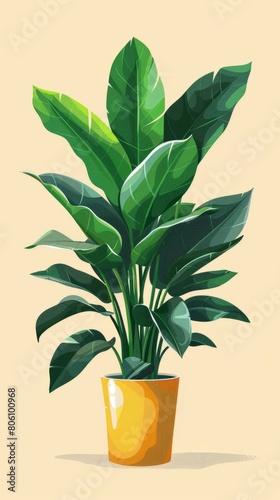 A large potted plant with dark green leaves