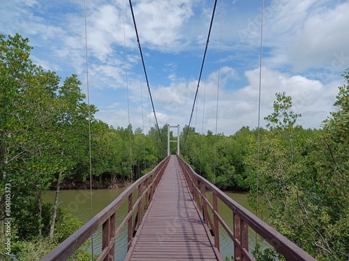 suspension bridge over the river