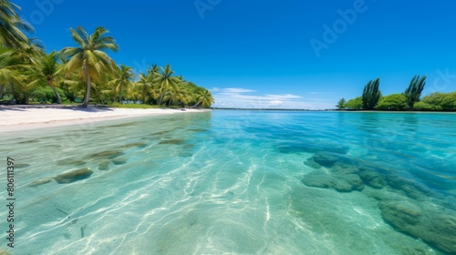 The beach is clean and beautiful  with coconut trees on the shore and crystal clear water in the shallows