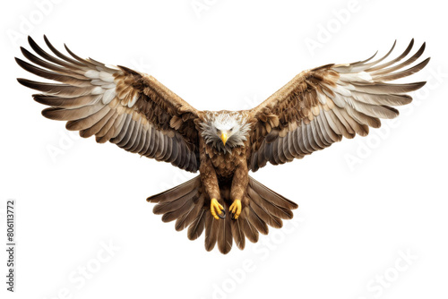 The image shows a majestic eagle with outstretched wings  soaring through the sky