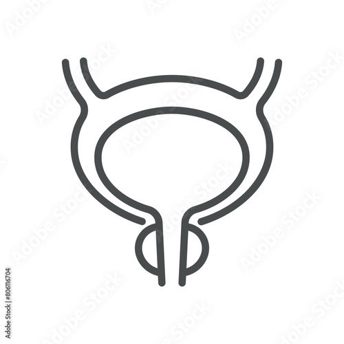 Male Urinary Tract Icon. Line Vector Illustration of Male Urinary System, Symbolizing Urological Health and Anatomy. Isolated Outline Sign.