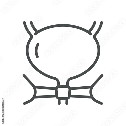 Pelvic Floor Muscles and Bladder Icon. Line Vector Illustration of Pelvic Muscles and Bladder, Symbolizing Urological and Pelvic Health. Isolated Outline Sign.