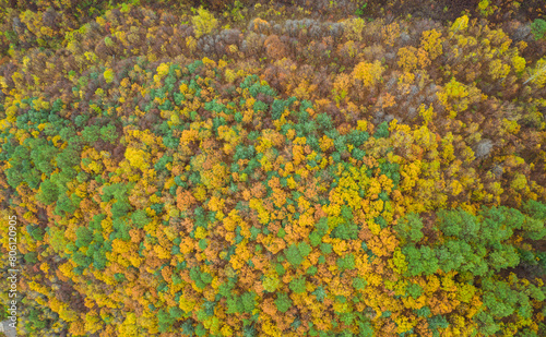 Aerial photography of the forest in autumn in the hinterland of Xiaoxinganling, Yichun City, Heilongjiang Province