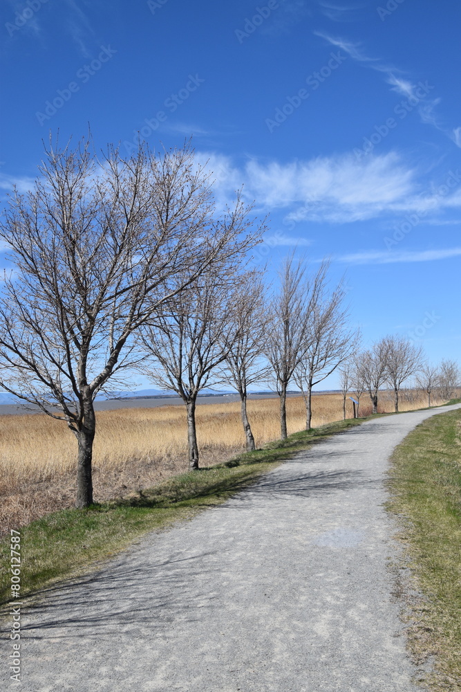 The bike path in spring, La Pocatière, Québec, Canada The bike path in spring, La Pocatière, Québec, Canada