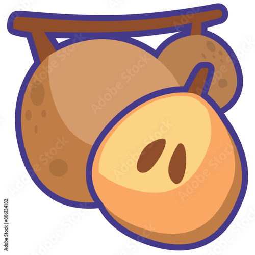 Cartoon sapodilla fruit vector image, whole buah sawo or manilkara zapota flat icon iillustration, chicozapote or chicoo isolated on white, chicle or naseberry photo