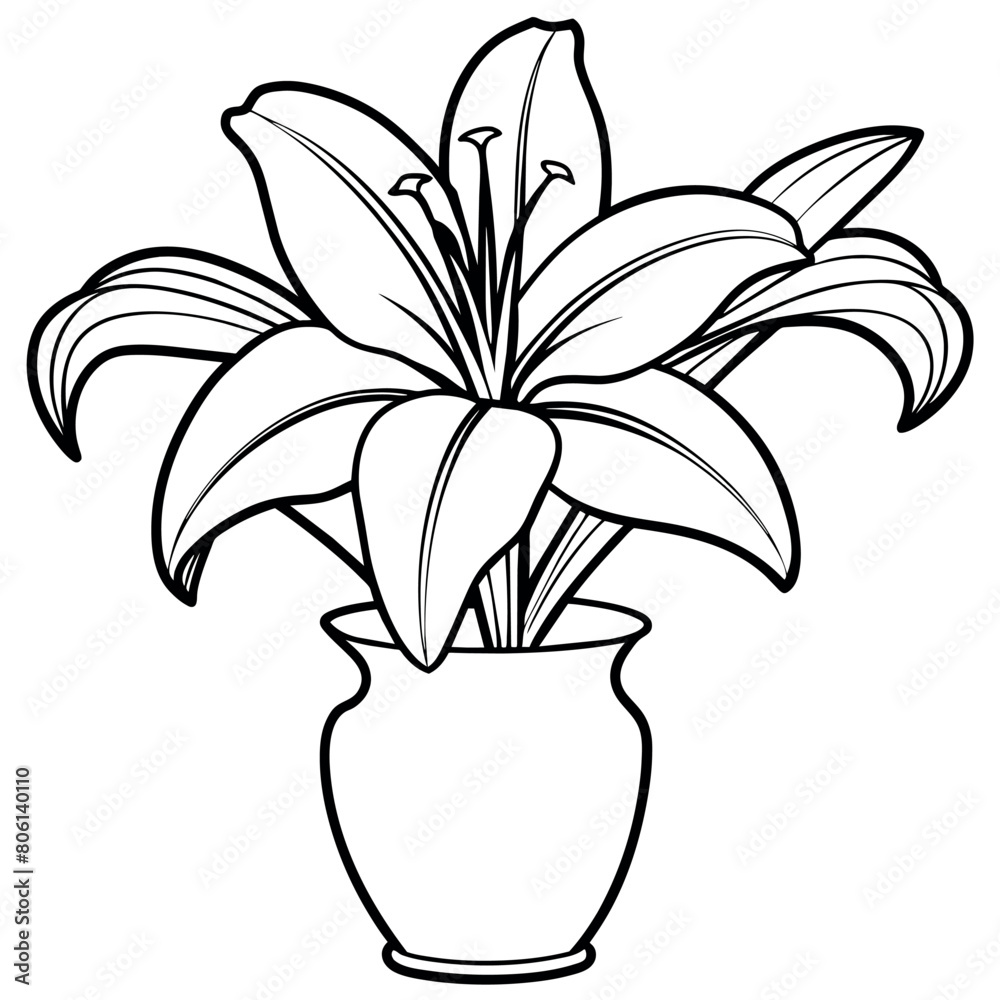 Lily Flower outline illustration coloring book page design, Lily Flower black and white line art drawing coloring book pages for children and adults Lily Flower outline illustration coloring book page design, Lily Flower black and white line art drawing coloring book pages for children and adults