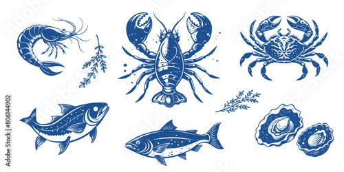 Seafood animals set with lobster, salmon, crab and shrimps in sketch outline style on white background, vector illustration