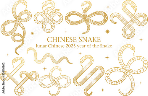Chinese Snake zodiac clipart. Chinese lunar 2025 New year of the Snake