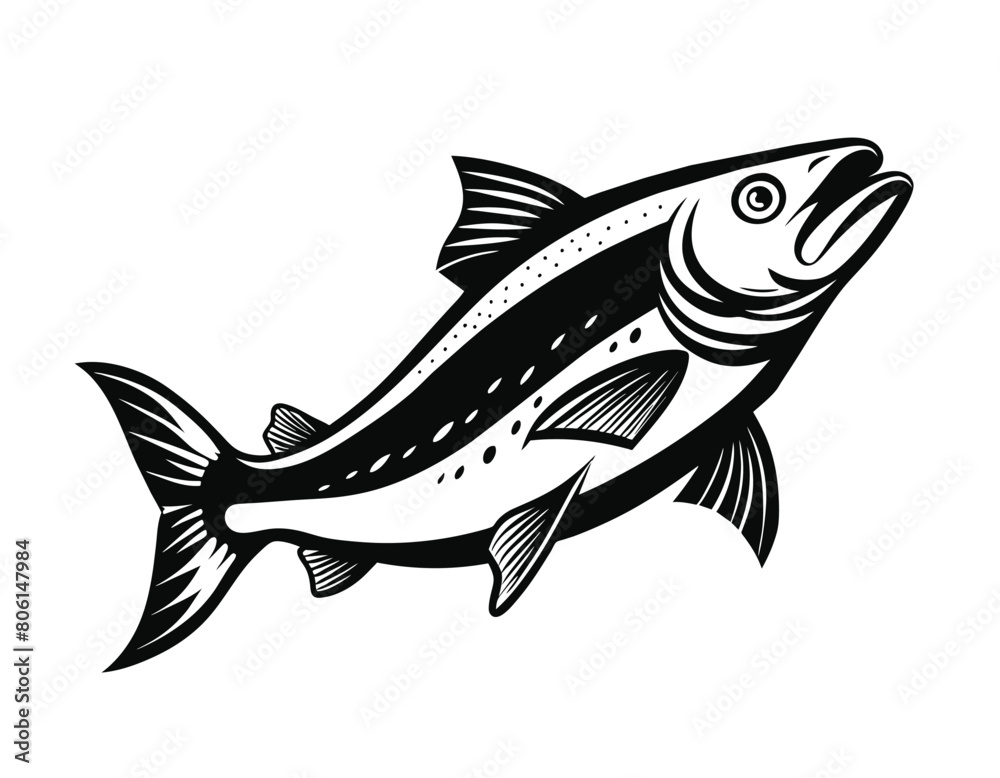 Salmon ink sketch style on white background, vector illustration