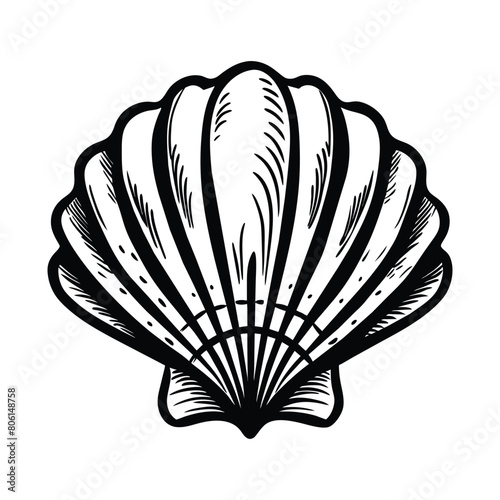 Sea shell outline in sketch style on white background  vector illustration