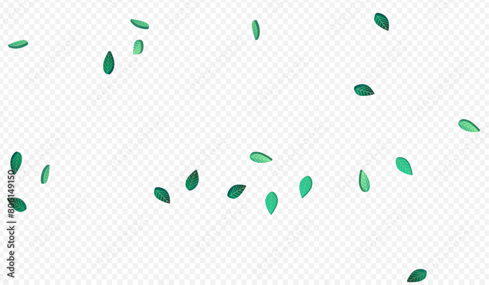 green_leaf_transparent_background71.eps