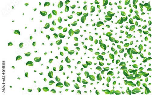 Green_Leaves_white_background_883.eps