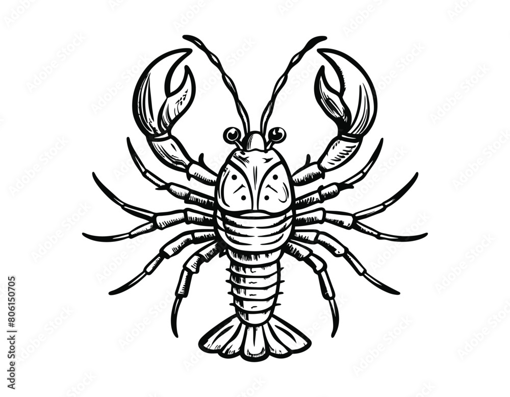 Lobster sketch engraving style on white background, vector illustration Lobster sketch engraving style on white background, vector illustration
