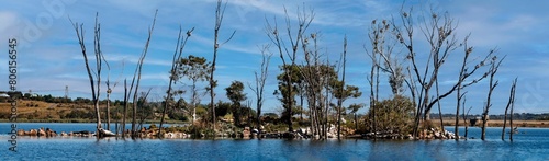 A panoramic image showing the little island inside Rietvlei Nature Reserve, Gauteng, South Africa.