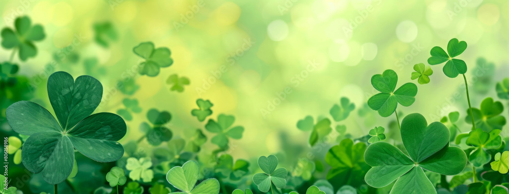 Beautiful nature background with morning fresh grass and ladybug. Grass and clover leaves in droplets of dew outdoors in summer in spring close-up macro. Template for design Beautiful nature background with morning fresh grass and ladybug. Grass and clover leaves in droplets of dew outdoors in summer in spring close-up macro. Template for design