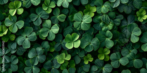 four leaf clover on green shamrock background photo