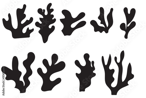 Black coral silhouette. diverse coral species vector illustration, detailed coral in marine life illustrations isolated on white, perfect for educational content and ocean themed designs