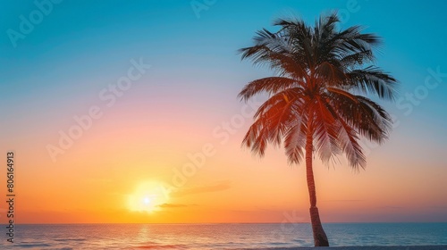 Silhouette Palm Tree on Beach at Sunset