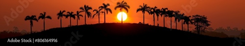 Sunset Over Hill With Palm Trees