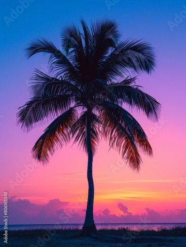 Palm Tree Silhouetted Against Colorful Sunset