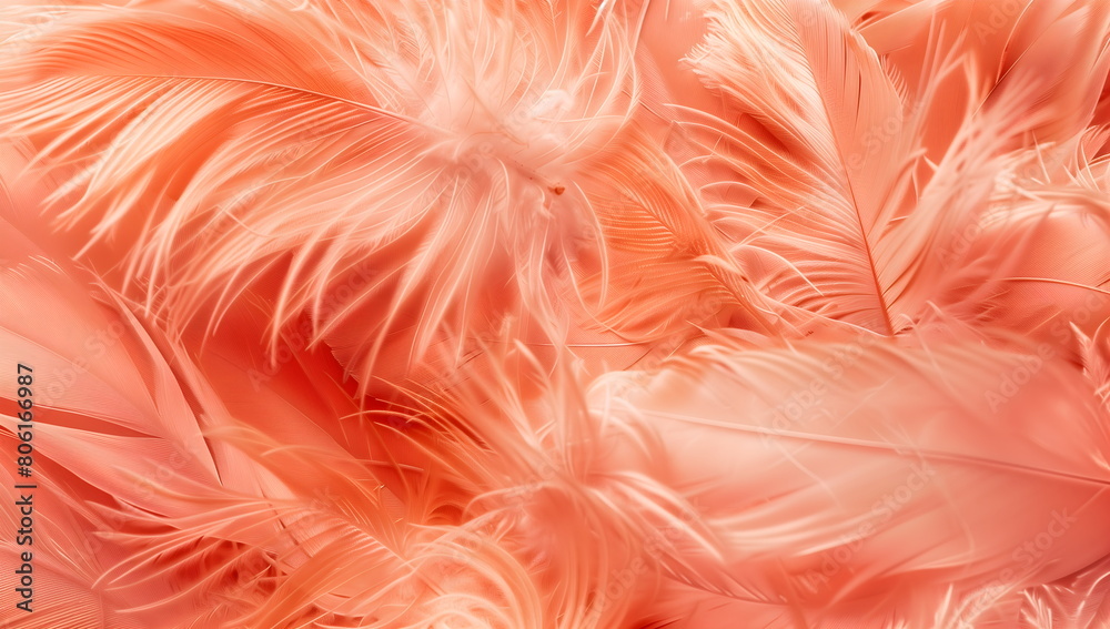 Peach fuzzy feather texture. Background of fashionable trend color 2024.Pastel horizontal banner. Peach fuzzy feather texture. Background of fashionable trend color 2024.Pastel horizontal banner.