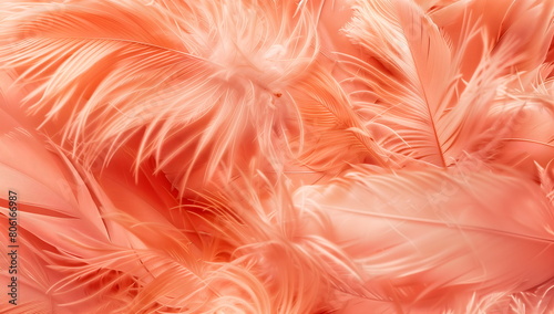 Peach fuzzy feather texture. Background of fashionable trend color 2024.Pastel horizontal banner.