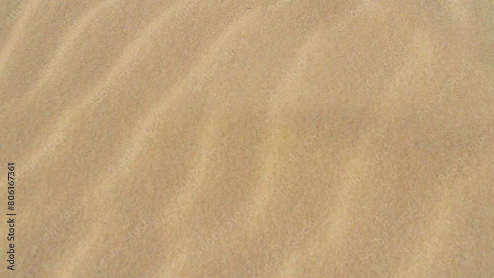 fine beach sand blowing and moving on desert dune, dry desert climate meets the temperate tropical climate. sand on the beach in slow motion fine beach sand blowing and moving on desert dune, dry desert climate meets the temperate tropical climate. sand on the beach in slow motion