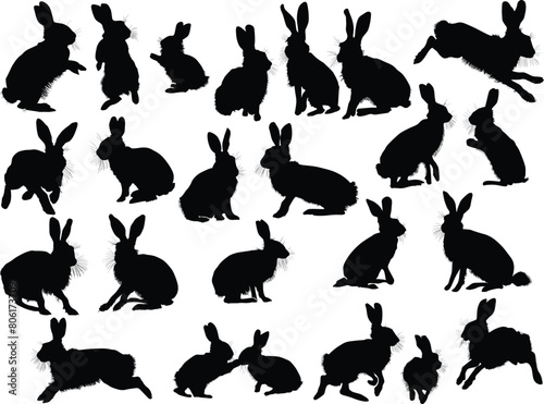 twenty four black rabbits on white