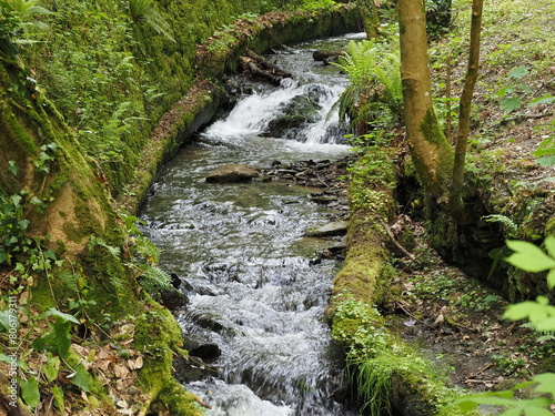 Wasserfall im Tiefenbachtal bei Bernkastel-Kues