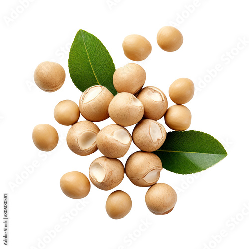 Dried Macadamia nut isolated on transparent background