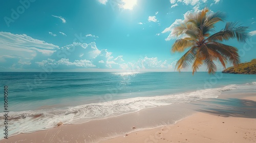 palm tree on tropical island beach on background blue sky with white clouds