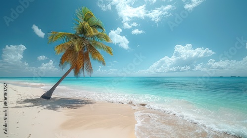 palm tree on tropical island beach on background blue sky with white clouds © BALLERY ART