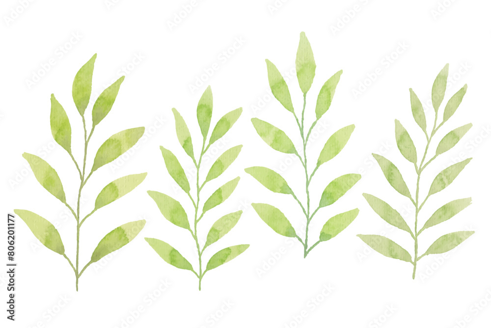 Fototapeta premium Assortment of watercolor leaves illustration set - green leaf branches collection for wedding, greetings, stationary, wallpapers, fashion, background. olive, green leaves, Eucalyptus etc