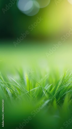 fresh morning green grass lit by the sun closeup. Beautiful Green Grass nature background over blurred nature backdrop. Vertical sho