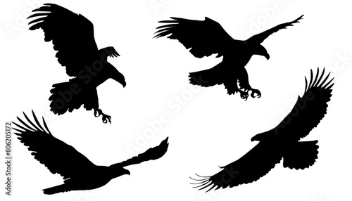 Birds Silhouettes, Collection of Eagles Flying, Logotype, Shadows, Bird of Prey, Flight, Concept, Logo, Isolated, Vector Illustration